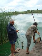 Nagykallo 2011